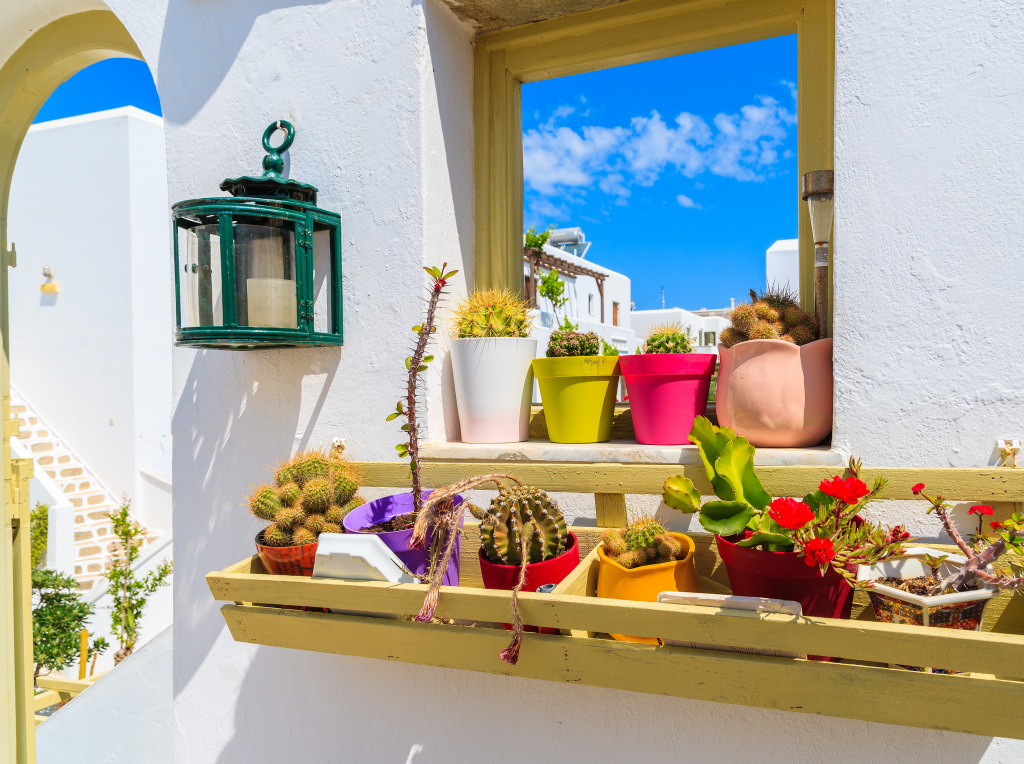 Flowers on a Window Sill, Naoussa Village jigsaw puzzle in Flowers puzzles on TheJigsawPuzzles.com