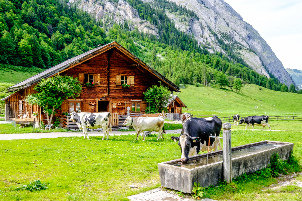 Cows at the Karwendel Mountains jigsaw puzzle in Animals puzzles on TheJigsawPuzzles.com
