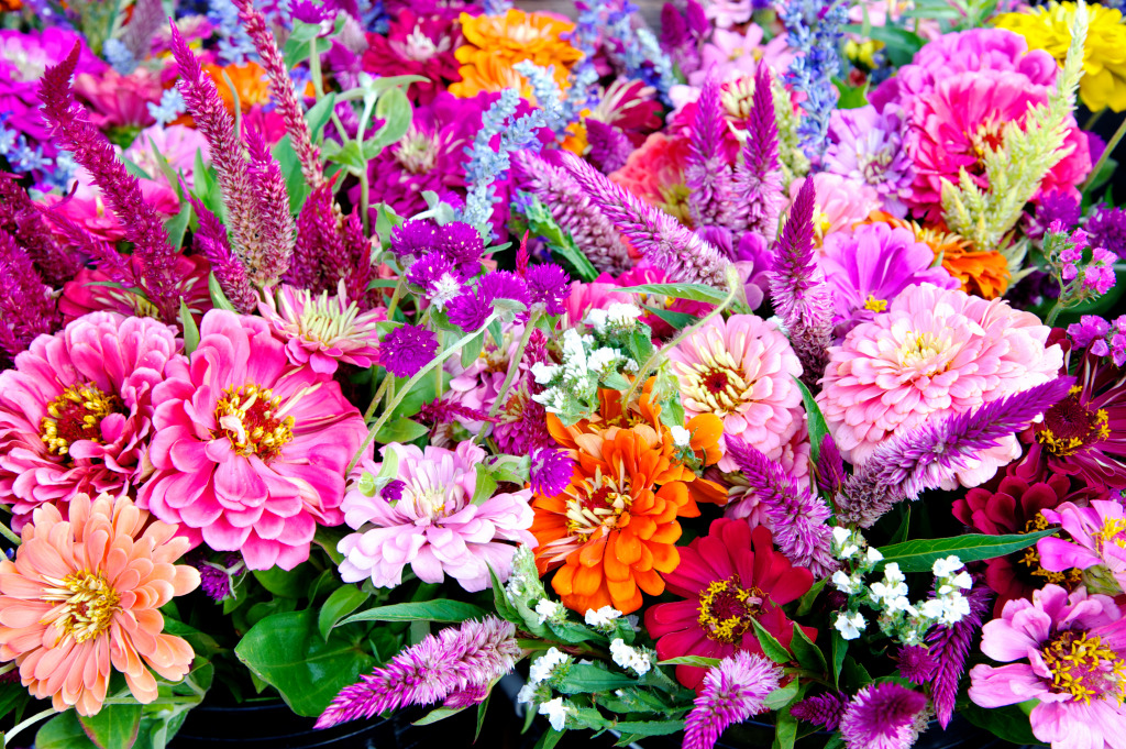 Virginia Farmers Market jigsaw puzzle in Flowers puzzles on TheJigsawPuzzles.com