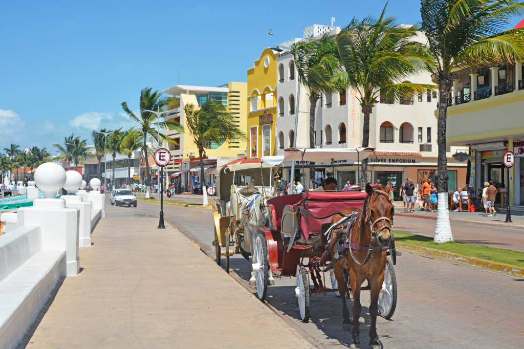 Cozumel Island, Mexico jigsaw puzzle in Puzzle of the Day puzzles on TheJigsawPuzzles.com