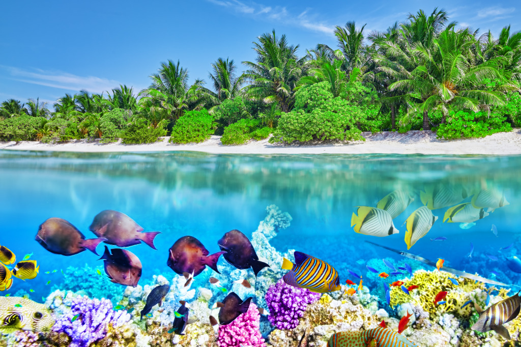 Thoddoo Island in the Maldives jigsaw puzzle in Under the Sea puzzles on TheJigsawPuzzles.com