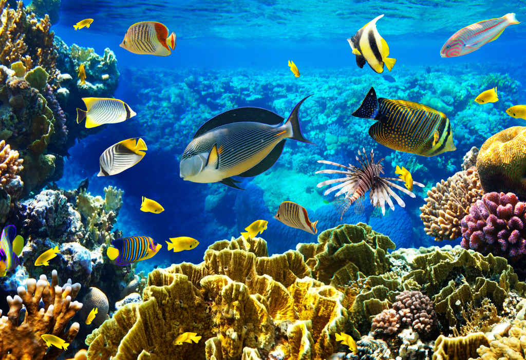 Tropical Fish On A Coral Reef jigsaw puzzle in Under the Sea puzzles on TheJigsawPuzzles.com