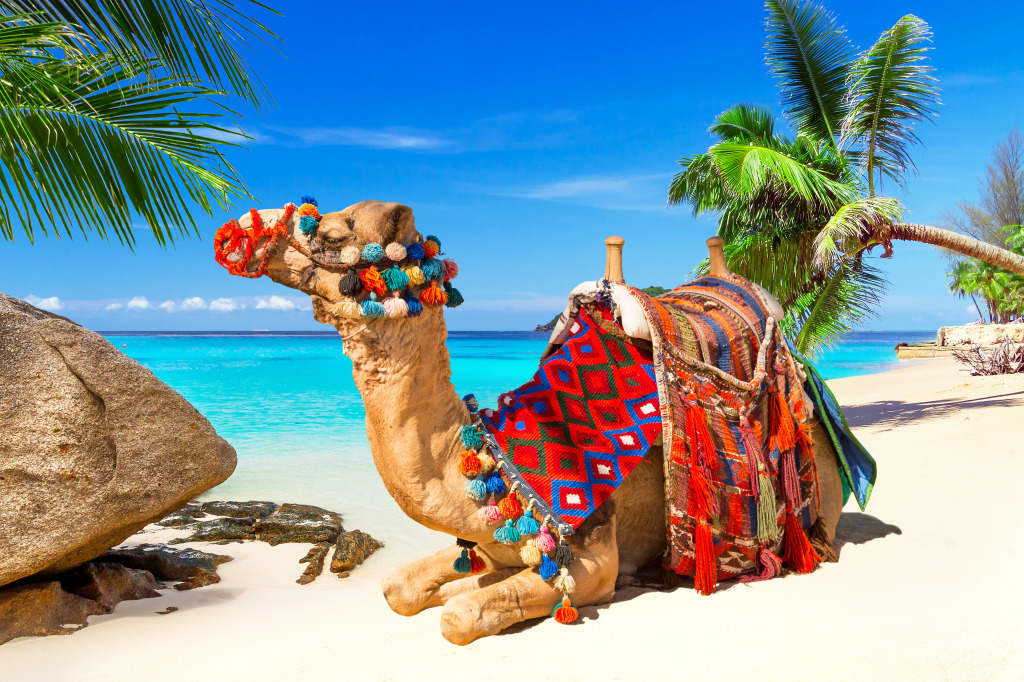 Camel Ride on the Tropical Beach jigsaw puzzle in Animals puzzles on TheJigsawPuzzles.com