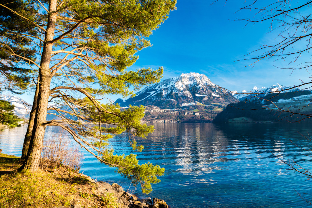 Lake Louise, Alberta, Canada jigsaw puzzle in Great Sightings puzzles on TheJigsawPuzzles.com