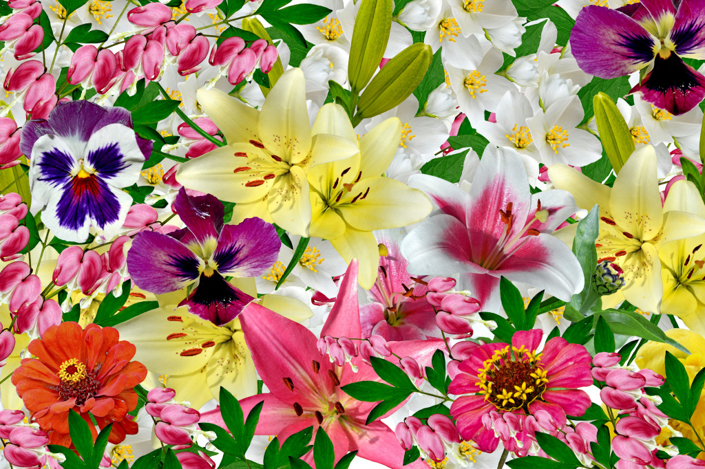 Colorful Flowers jigsaw puzzle in Puzzle of the Day puzzles on TheJigsawPuzzles.com
