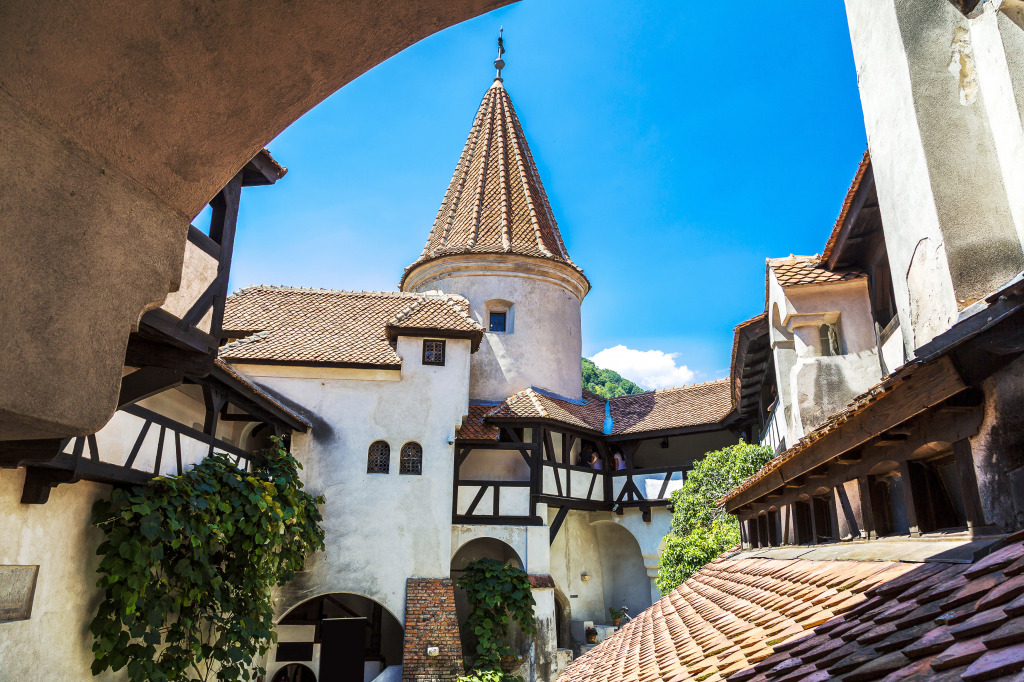 Bran Castle, Transylvania, Romania jigsaw puzzle in Castles puzzles on TheJigsawPuzzles.com