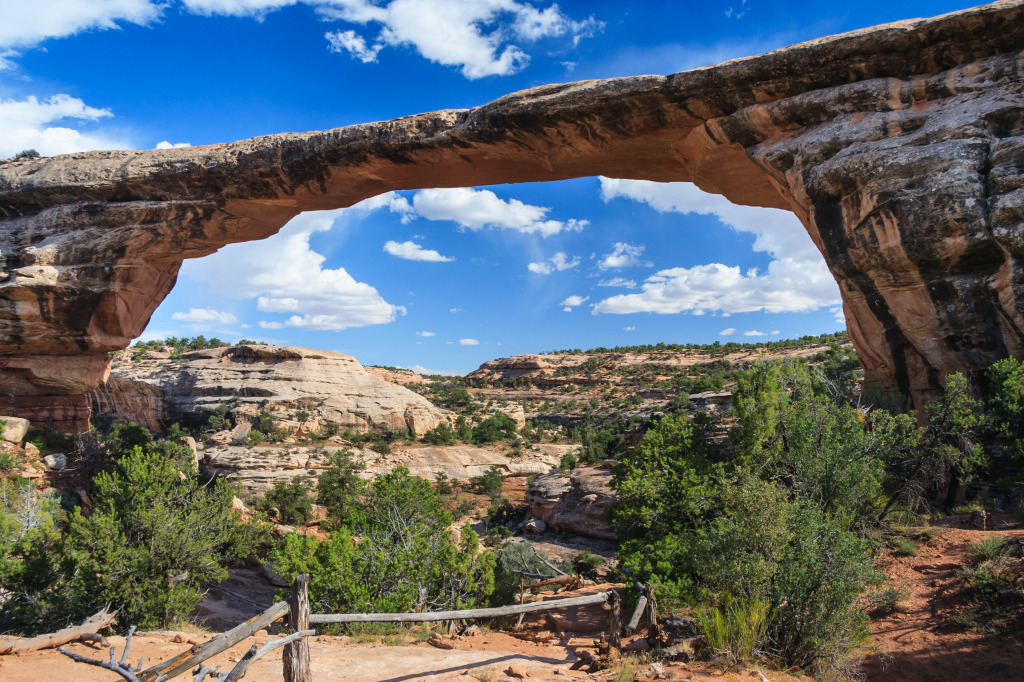 Natural Bridges National Monument, Utah jigsaw puzzle in Bridges puzzles on TheJigsawPuzzles.com