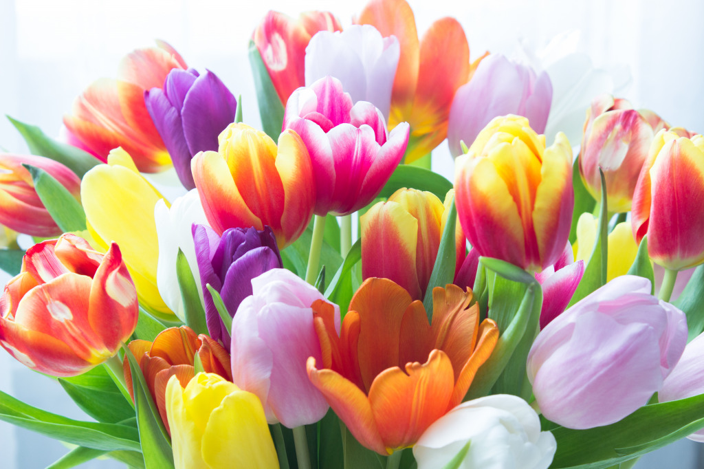 Bright Tulips jigsaw puzzle in Flowers puzzles on TheJigsawPuzzles.com
