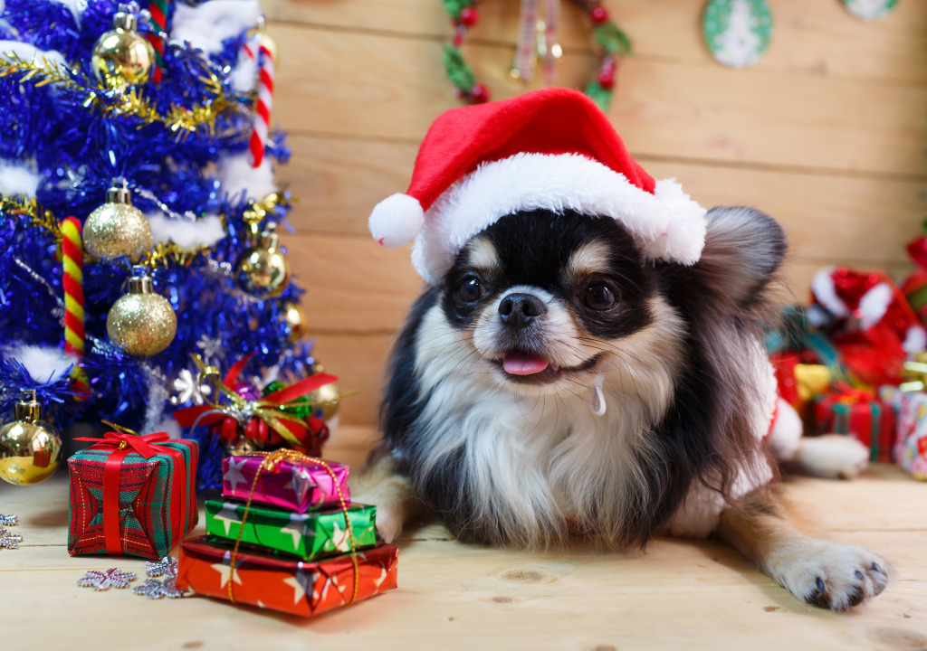 Chihuahua in a Christmas Costume jigsaw puzzle in Christmas & New Year puzzles on TheJigsawPuzzles.com