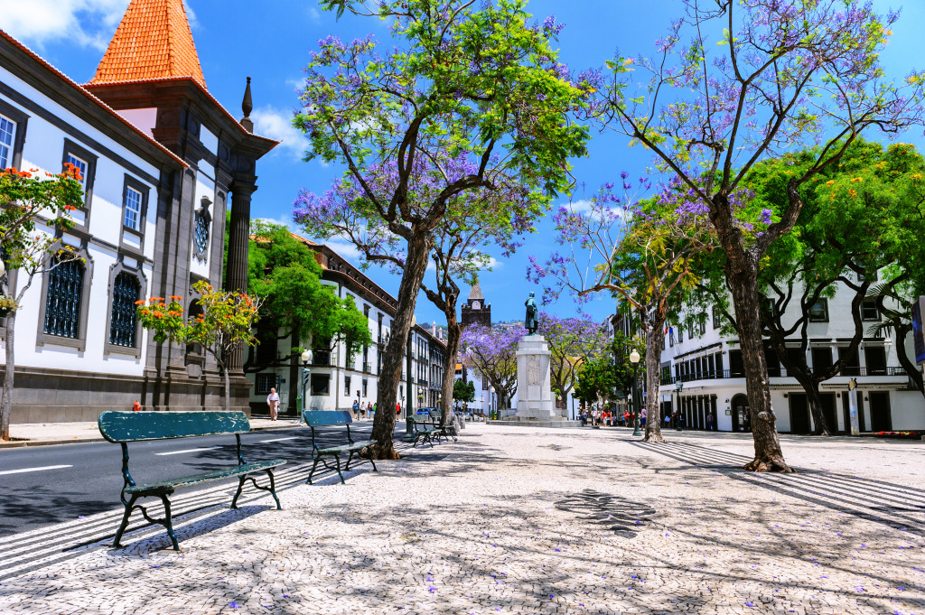 Funchal, Madeira Island, Portugal jigsaw puzzle in Street View puzzles on TheJigsawPuzzles.com