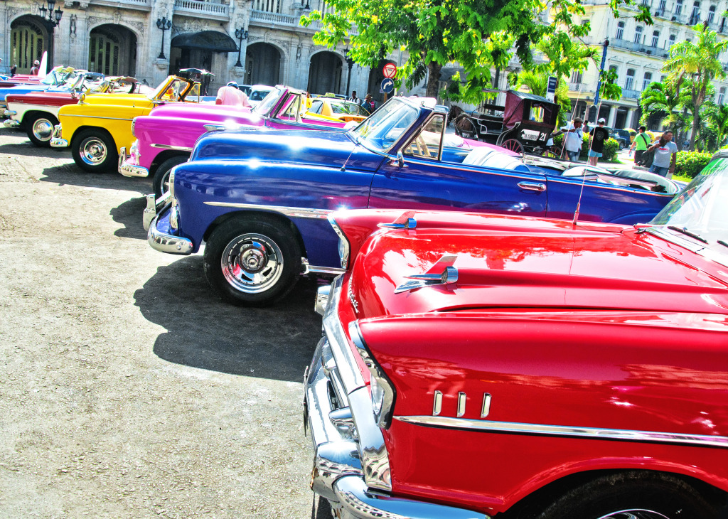 Vintage American Cars in Havana, Cuba jigsaw puzzle in Puzzle of the Day puzzles on TheJigsawPuzzles.com