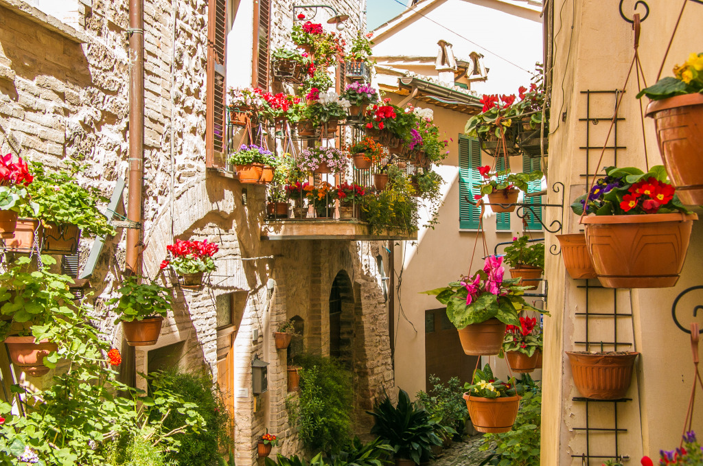 Floral Streets in Spello, Italy jigsaw puzzle in Flowers puzzles on TheJigsawPuzzles.com