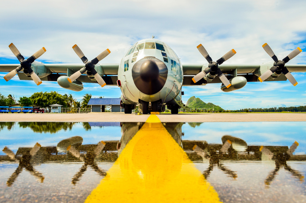 C-130 Military Transport Aircraft jigsaw puzzle in Aviation puzzles on TheJigsawPuzzles.com