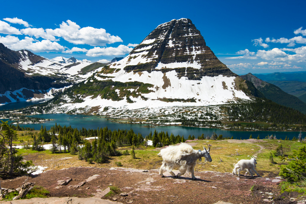 Mountain Goats, Glacier National Park jigsaw puzzle in Great Sightings puzzles on TheJigsawPuzzles.com