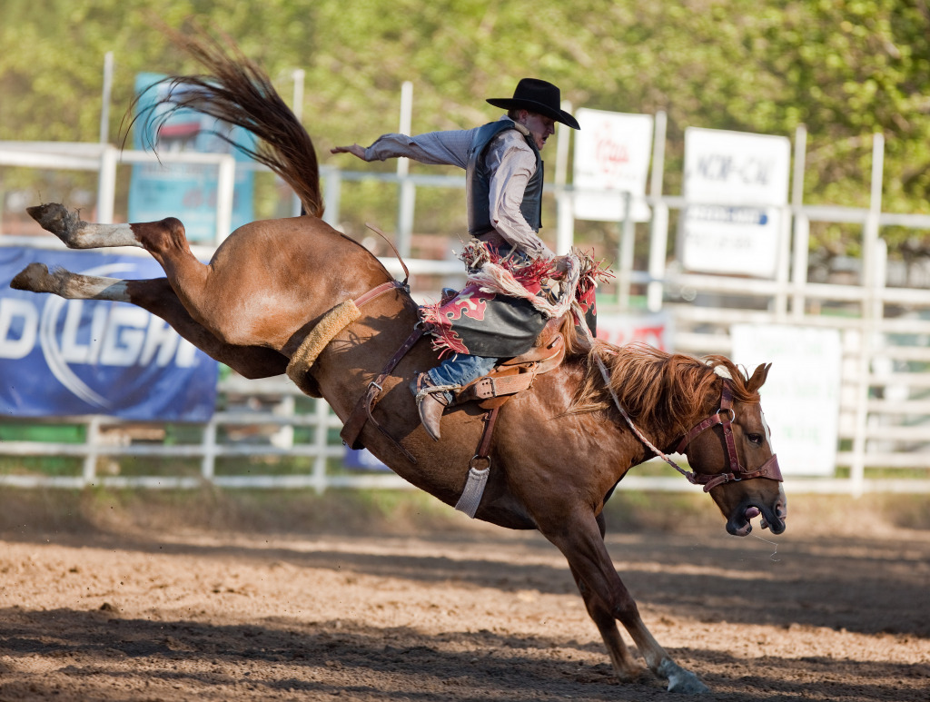 Rodeo in Willits CA jigsaw puzzle in People puzzles on TheJigsawPuzzles.com