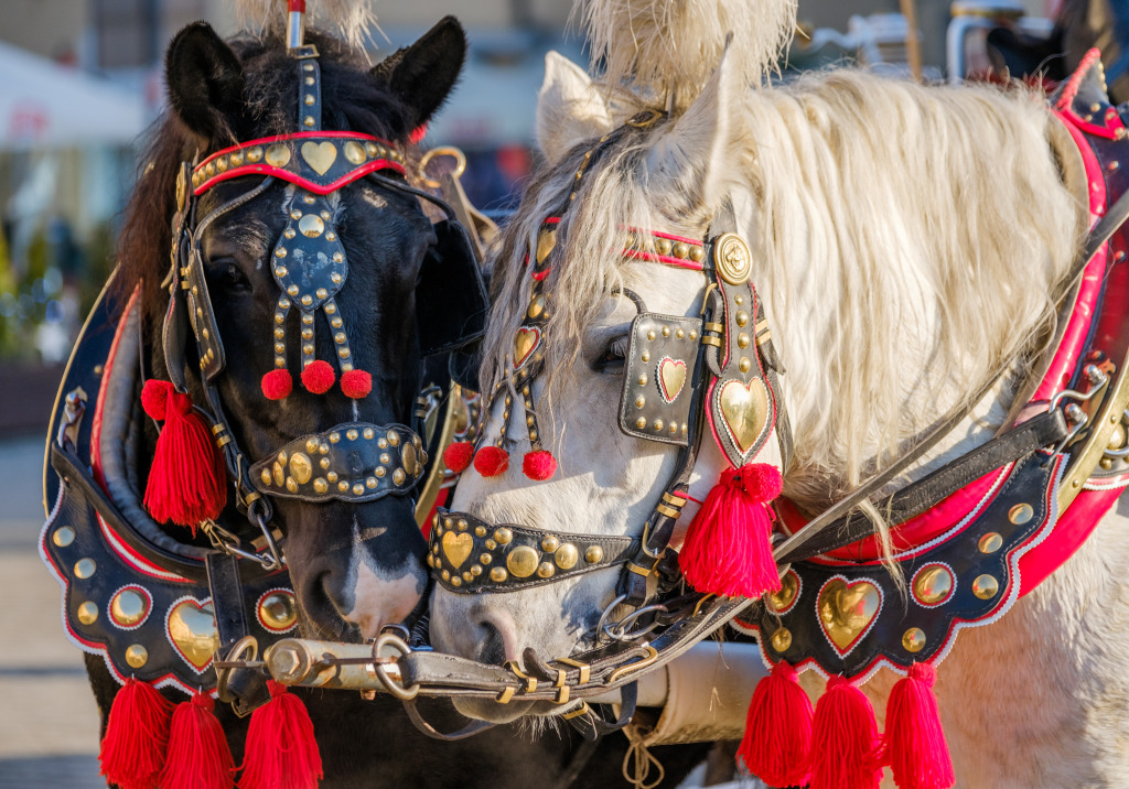 Two Horses jigsaw puzzle in Animals puzzles on TheJigsawPuzzles.com