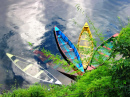 Colored Boats by Phewa Lake, Nepal