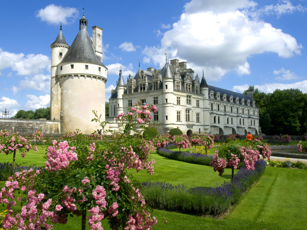 Chenonceaux Castle, Loire Valley, France jigsaw puzzle in Castles puzzles on TheJigsawPuzzles.com