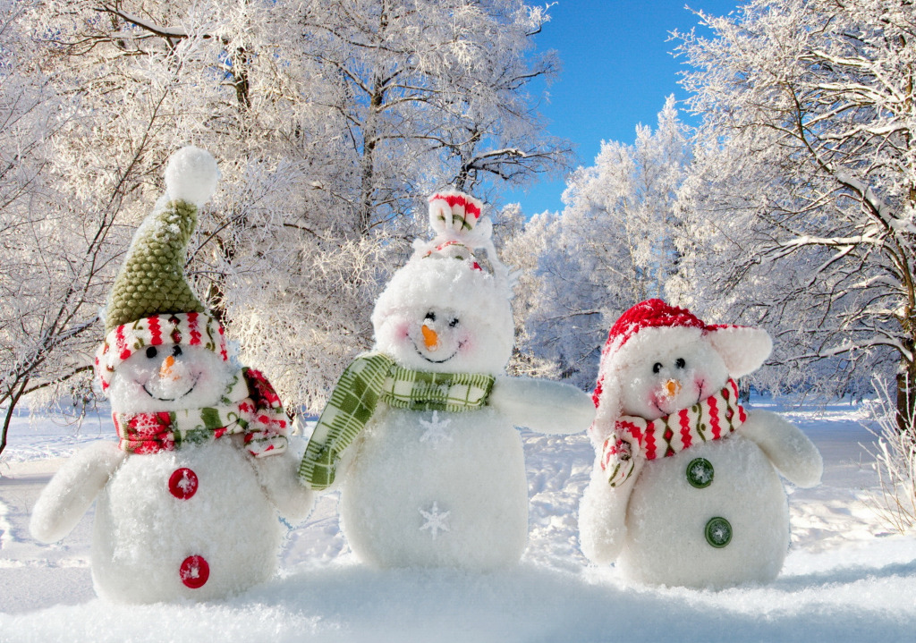 Cheerful Snowmen jigsaw puzzle in Macro puzzles on TheJigsawPuzzles.com