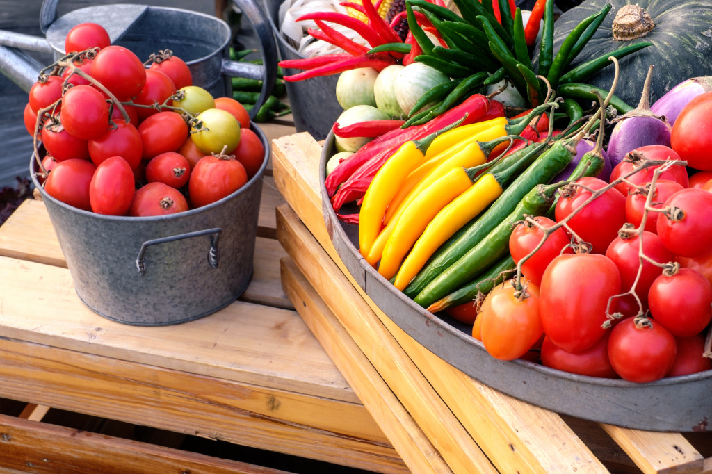 Vegetables in the Garden jigsaw puzzle in Fruits & Veggies puzzles on TheJigsawPuzzles.com