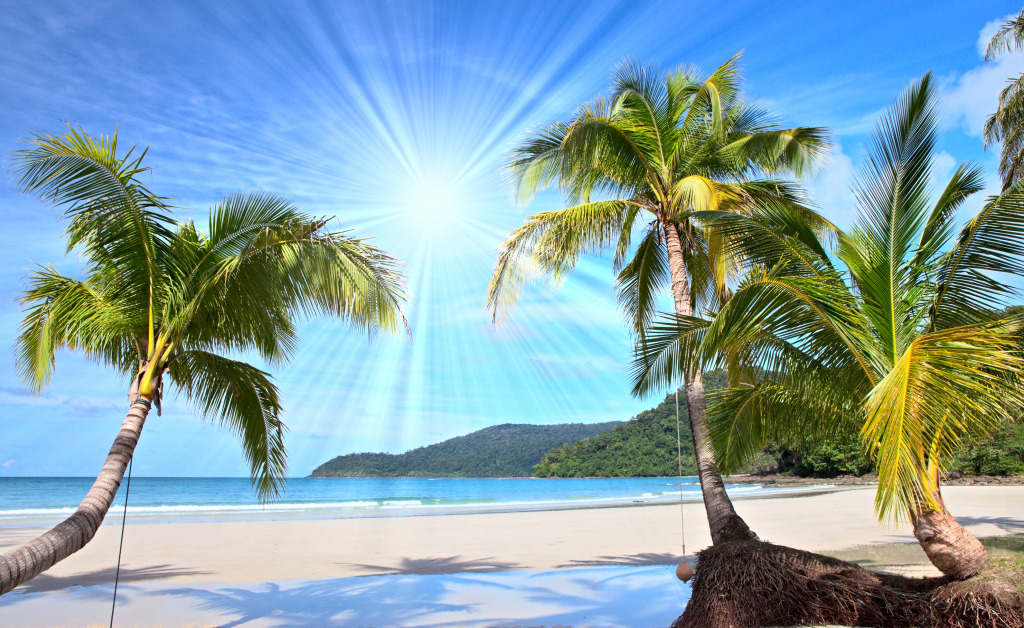 Tropical Beach jigsaw puzzle in Great Sightings puzzles on TheJigsawPuzzles.com