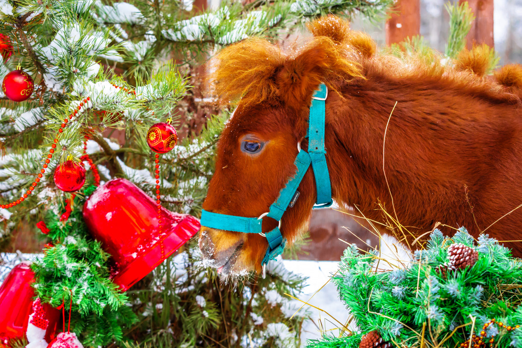 Redhead Pony near a Christmas Tree jigsaw puzzle in Animals puzzles on TheJigsawPuzzles.com