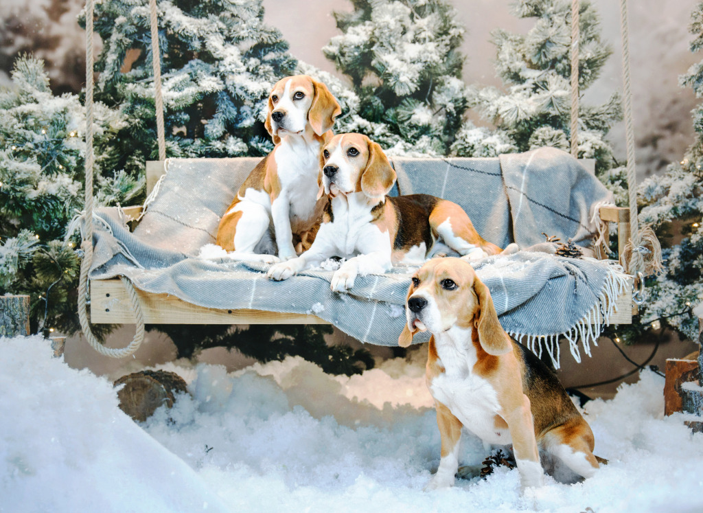 Beagle Dogs near the Christmas Tree jigsaw puzzle in Animals puzzles on TheJigsawPuzzles.com