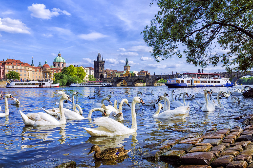 Charles Bridge in Prague, Czech Republic jigsaw puzzle in Bridges puzzles on TheJigsawPuzzles.com