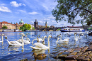 Charles Bridge in Prague, Czech Republic