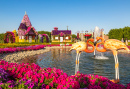 Dubai Miracle Garden