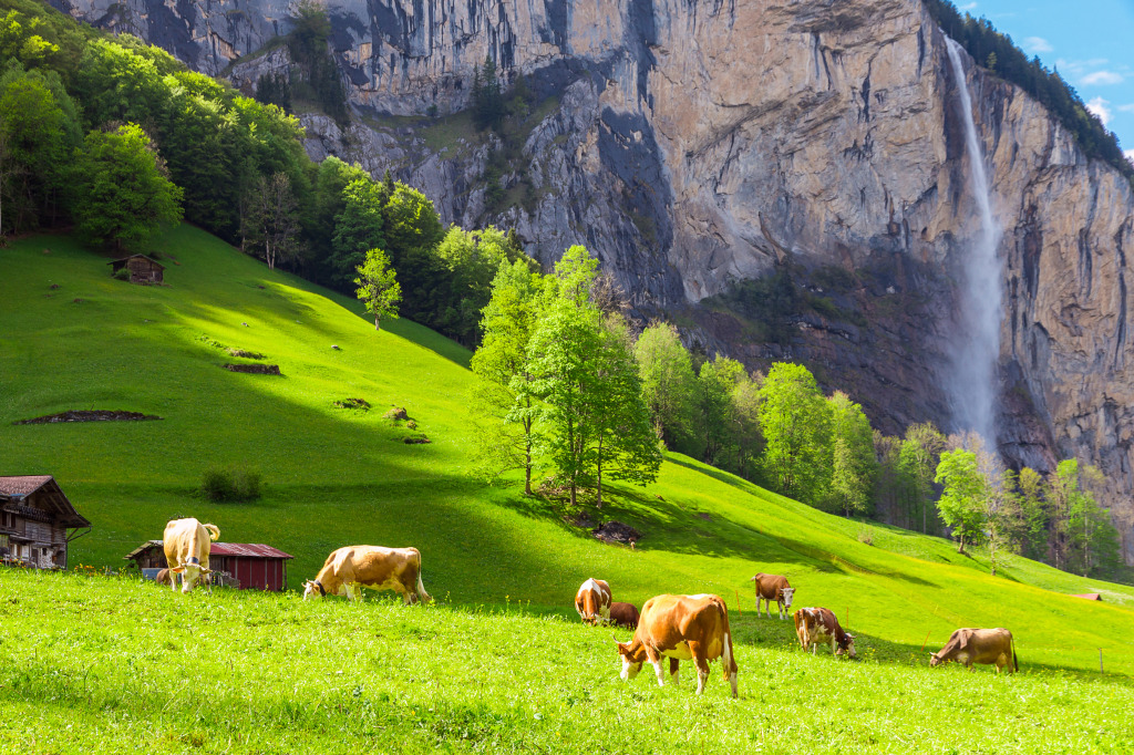 Lauterbrunnen, Switzerland jigsaw puzzle in Waterfalls puzzles on TheJigsawPuzzles.com