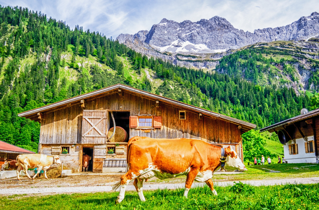 Karwendel Mountains, Austria jigsaw puzzle in Puzzle of the Day puzzles on TheJigsawPuzzles.com