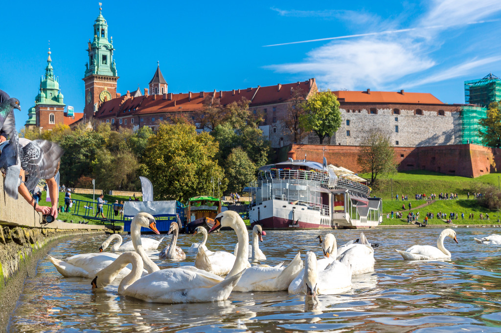 Wawel Castle in Krakow, Poland jigsaw puzzle in Castles puzzles on TheJigsawPuzzles.com