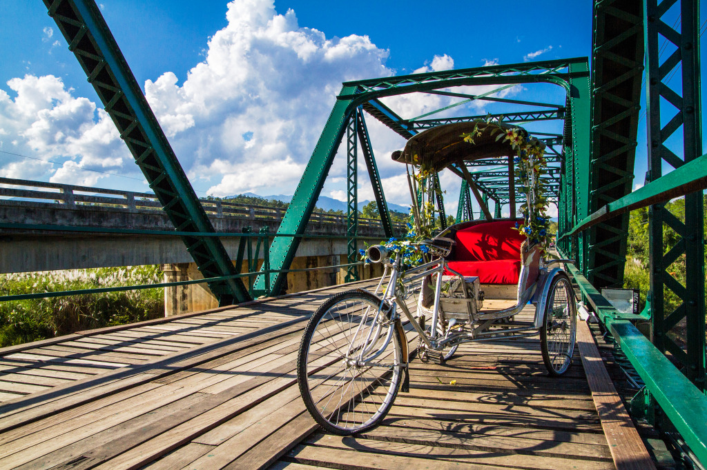 Tricycle on a Wooden Bridge jigsaw puzzle in Bridges puzzles on TheJigsawPuzzles.com