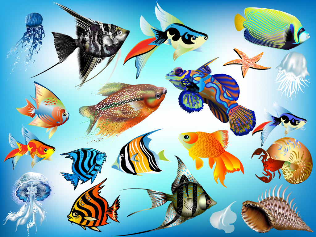 Marine Animals jigsaw puzzle in Under the Sea puzzles on TheJigsawPuzzles.com