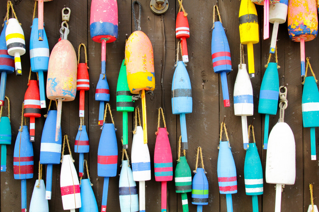 Colorful Buoys in Maine, USA jigsaw puzzle in Macro puzzles on TheJigsawPuzzles.com