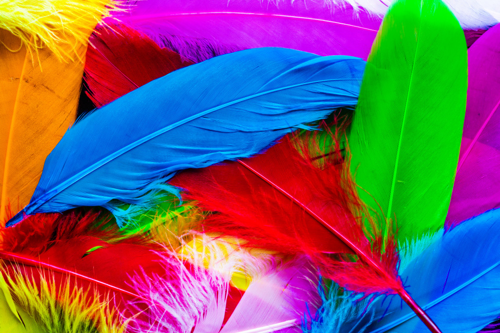 Colourful Feathers jigsaw puzzle in Macro puzzles on TheJigsawPuzzles.com