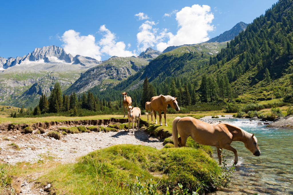 Adamello Brenta National Park, Italy jigsaw puzzle in Animals puzzles on TheJigsawPuzzles.com