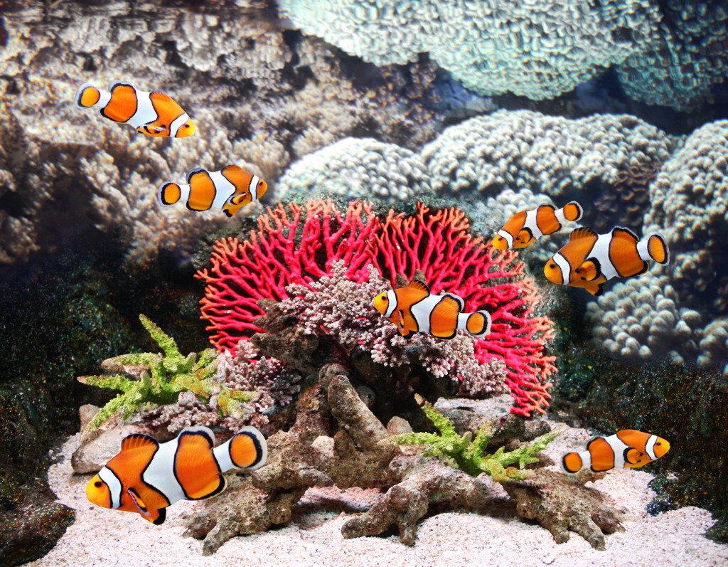 Marine Aquarium jigsaw puzzle in Under the Sea puzzles on TheJigsawPuzzles.com