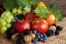 Autumn Fruits, Nuts and Berries