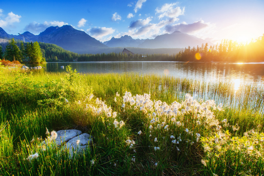 National Park High Tatra, Slovakia jigsaw puzzle in Great Sightings puzzles on TheJigsawPuzzles.com