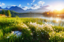 National Park High Tatra, Slovakia