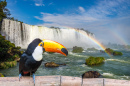 Iguazu Falls, Brazil