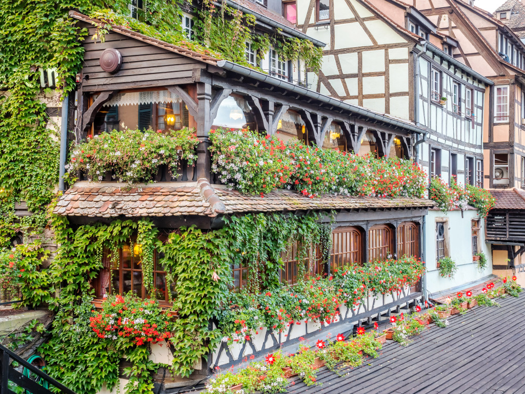 Petite France in Strasbourg, France jigsaw puzzle in Flowers puzzles on TheJigsawPuzzles.com