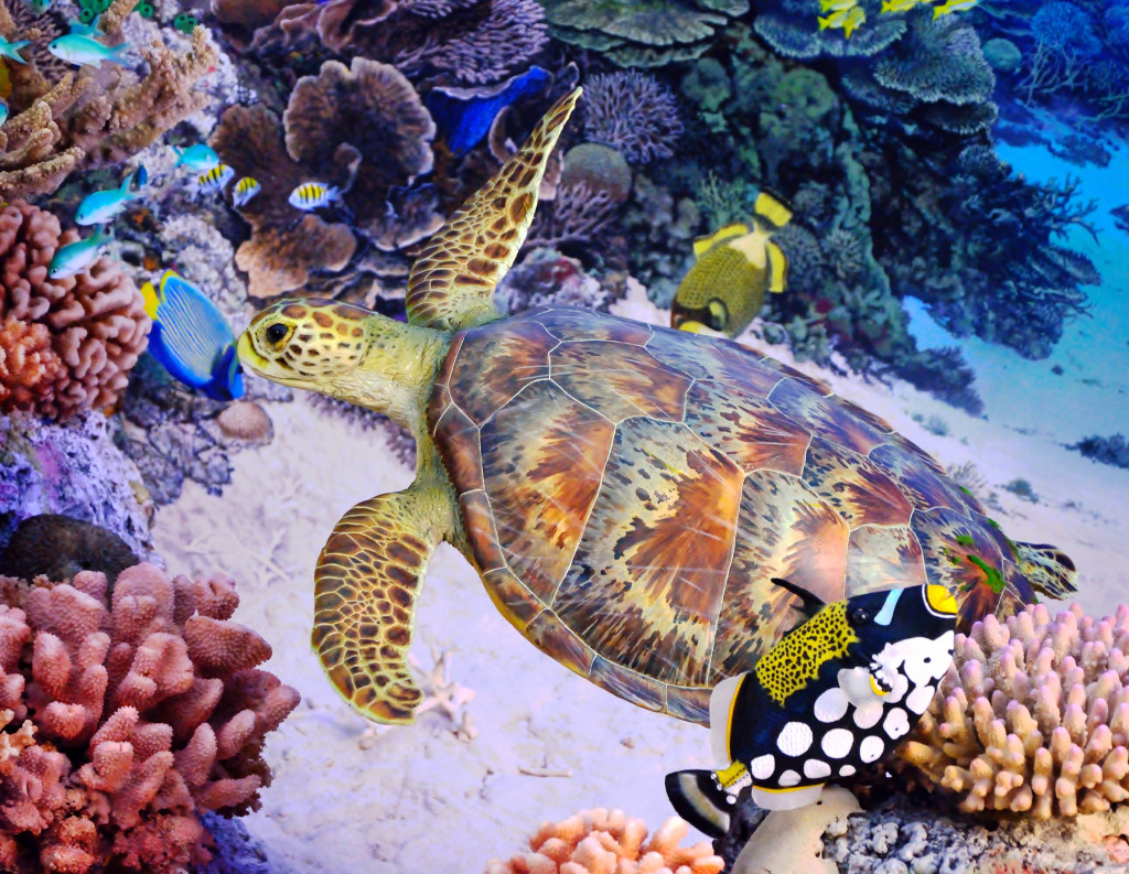 Green Turtle jigsaw puzzle in Under the Sea puzzles on TheJigsawPuzzles.com