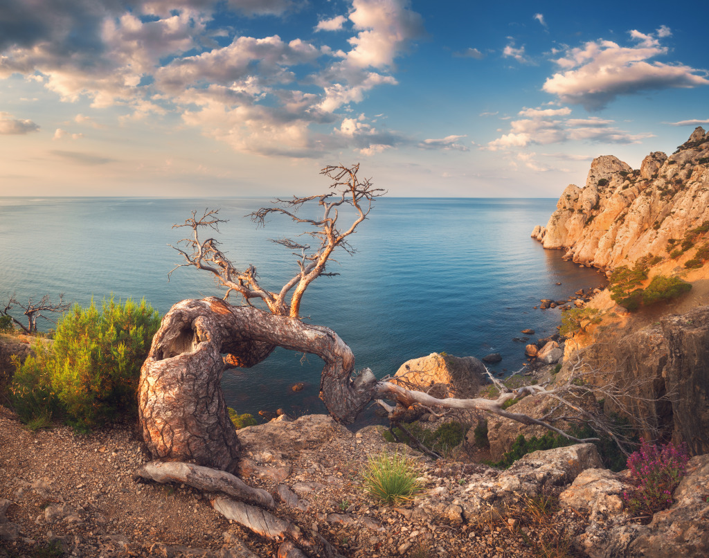 Coastal Landscape jigsaw puzzle in Great Sightings puzzles on TheJigsawPuzzles.com