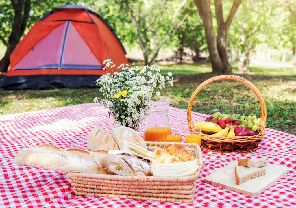 Summer Picnic jigsaw puzzle in Macro puzzles on TheJigsawPuzzles.com