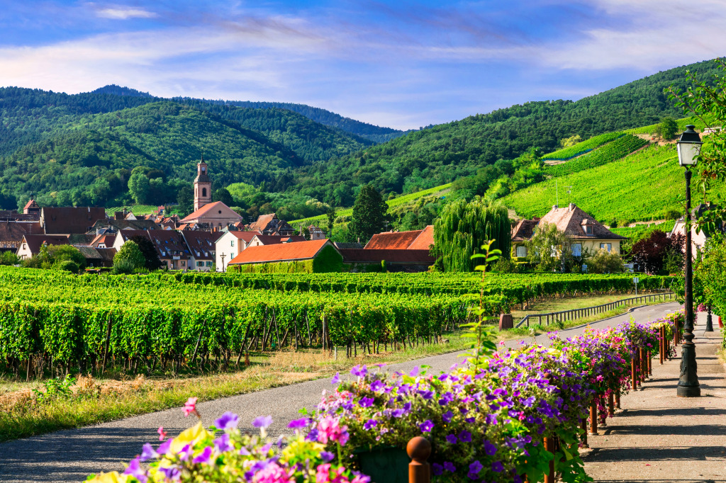 Wine Route, Alsace Region, France jigsaw puzzle in Great Sightings puzzles on TheJigsawPuzzles.com