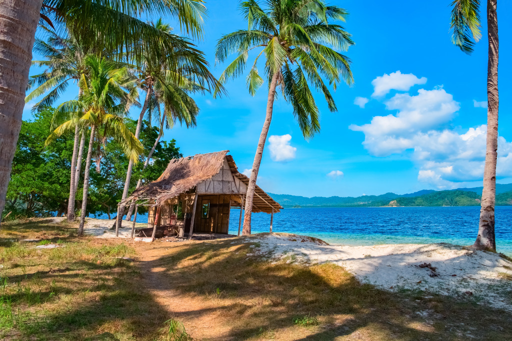 El Nido, Palawan, Philippines jigsaw puzzle in Great Sightings puzzles on TheJigsawPuzzles.com