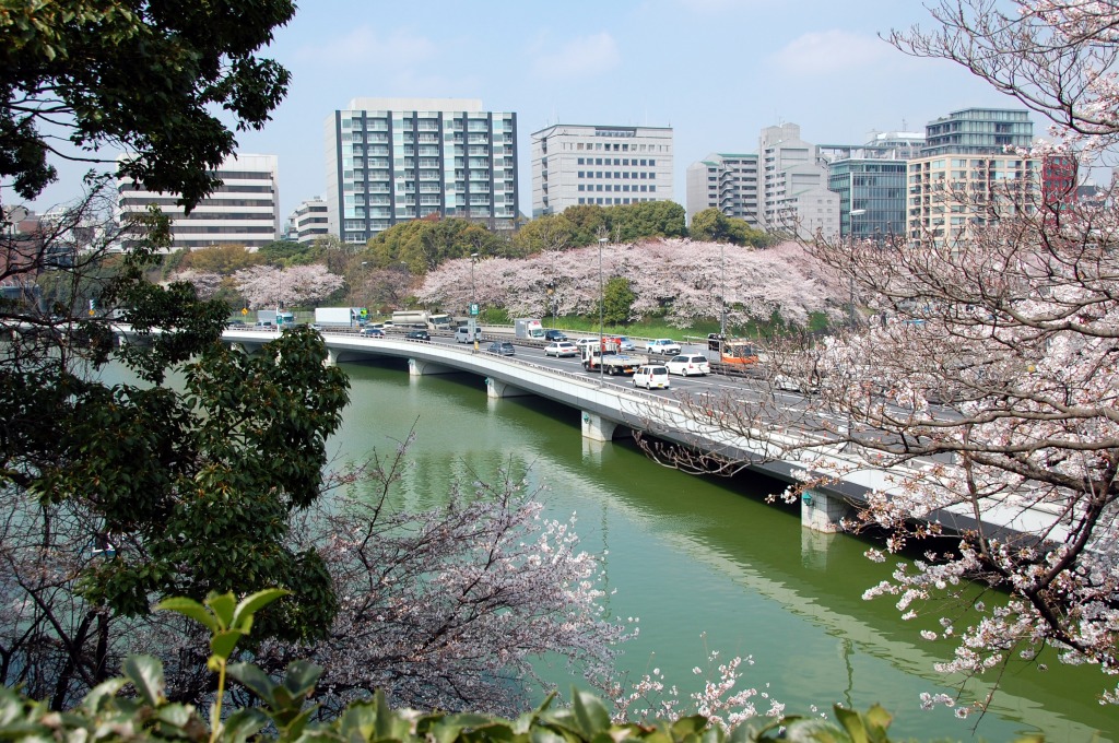 Chidorigafuchi, Tokyo jigsaw puzzle in Street View puzzles on TheJigsawPuzzles.com